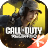 Call of Duty Mobile (CN)